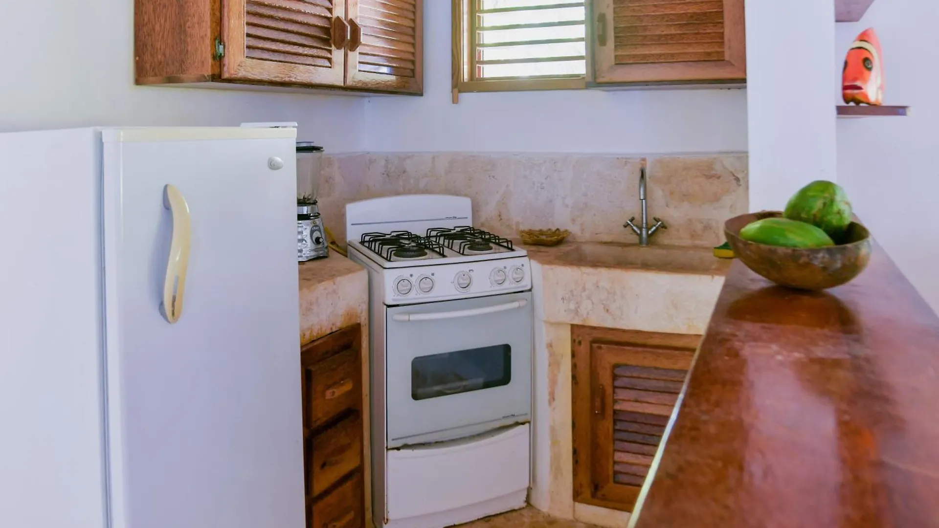 Paradiso Del Caribe Apartments A1 And A2, Your Perfect Stay In Las Galeras Dominican Republic