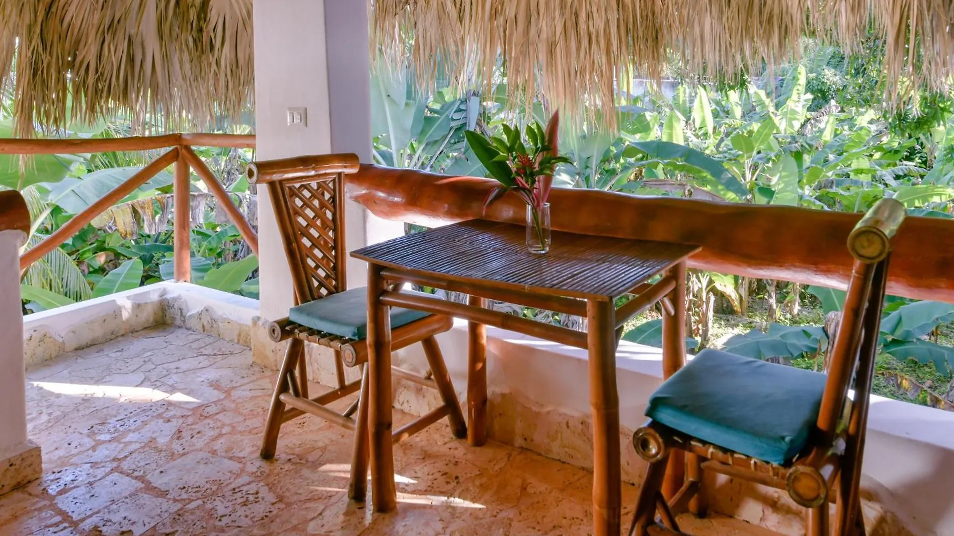 Paradiso Del Caribe Apartments A1 And A2, Your Perfect Stay In Las Galeras
