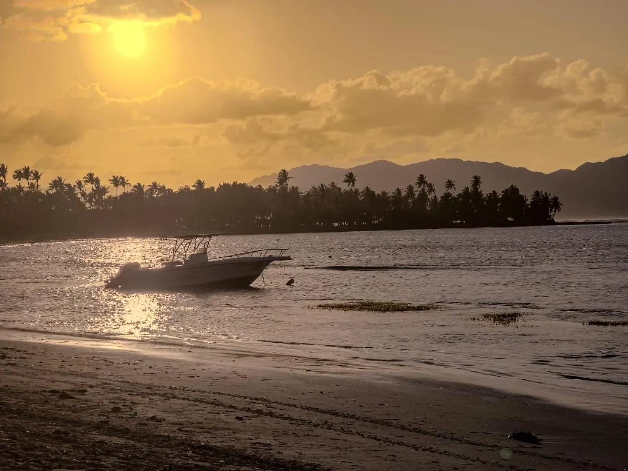 Paradiso Del Caribe Apartments A1 And A2, Your Perfect Stay In Las Galeras 0*,